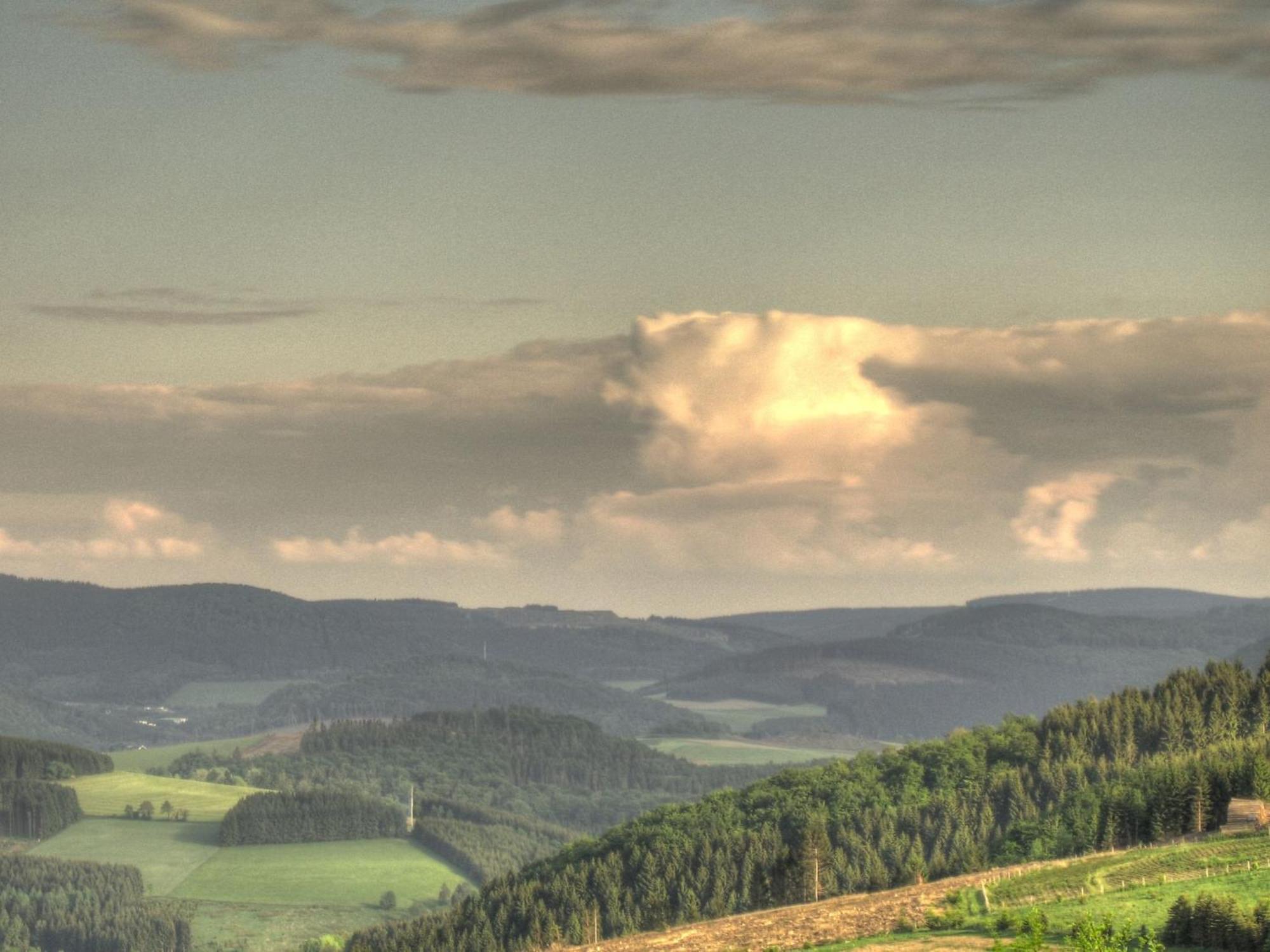 Cozy Holiday Home With Wifi In Hochsauerland Elpe Zewnętrze zdjęcie